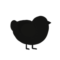 Biotite, a black chicken with a half-lace pattern