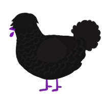 A black and sable chicken with a lace pattern