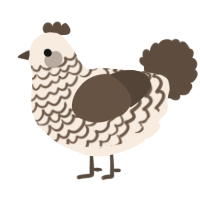 A cream and bark chicken with a lace pattern