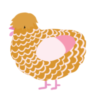 A orange and rose chicken with a lace pattern