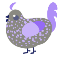 A ash and lilac chicken with a speckle pattern
