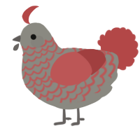 A ash and red chicken with a lace pattern