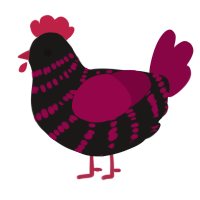 A sable and maroon chicken with a bar pattern