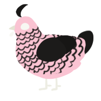 A rose and sable chicken with a lace pattern