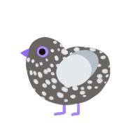 Thing 1, a grey and mist chicken with a speckle pattern