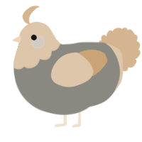 A ash and beige chicken with a head pattern