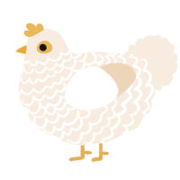 A cream chicken with a lace pattern
