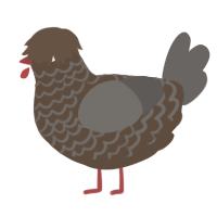A bark and grey chicken with a lace pattern