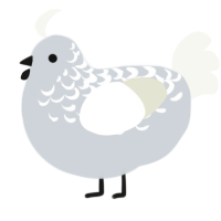 A mist and white chicken with a half-lace pattern
