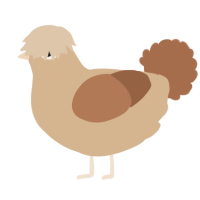A beige and brown chicken