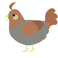 A ash and brown chicken with a head pattern