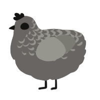A grey and ash chicken with a half-lace pattern