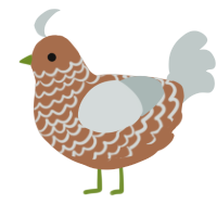 A brown and silver chicken with a lace pattern
