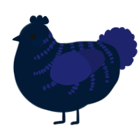 A tumblr and navy chicken with a half-bar pattern
