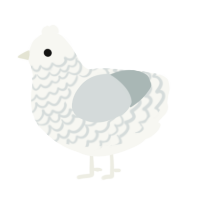 A white and silver chicken with a lace pattern
