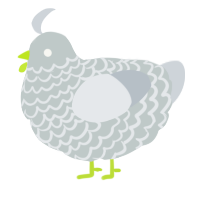 A silver and mist chicken with a lace pattern