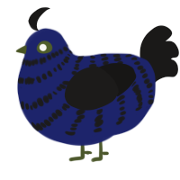 A navy and sable chicken with a bar pattern