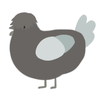 A grey and silver chicken