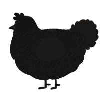 A black and sable chicken with a double-lace pattern