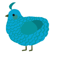 A cerulean and teal chicken with a lace pattern