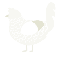 A white chicken with a lace pattern