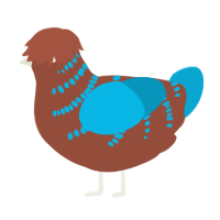 A russet and cerulean chicken with a half-bar pattern