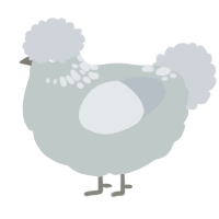 A silver and mist chicken with a neck-speckle pattern