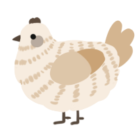 A cream and beige chicken with a bar pattern
