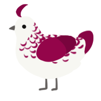 A white and maroon chicken with a half-lace pattern