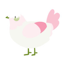 A white and rose chicken with a head pattern