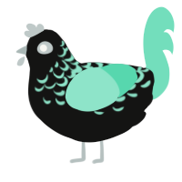 Sea sparkle, a black and mint chicken with a half-lace pattern