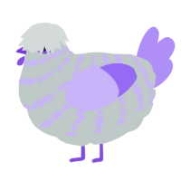 A silver and lilac chicken with a bar pattern