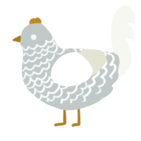 A silver and white chicken with a lace pattern