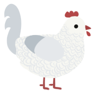A white and mist chicken with a double-lace pattern