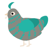 A ash and turquoise chicken with a bar pattern