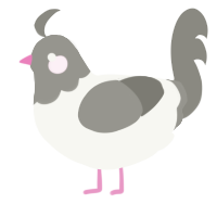 A white and ash chicken with a head pattern