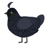 A tumblr and navy chicken with a double-lace pattern