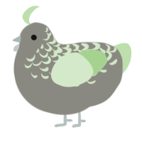 Poire, a ash and gluppy chicken with a half-lace pattern