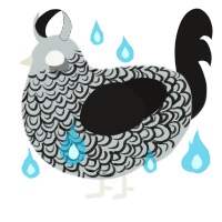 A silver and sable chicken with a double-lace pattern