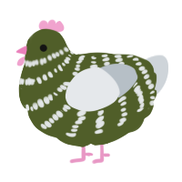 A olive and mist chicken with a bar pattern