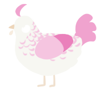 A white and pink chicken with a half-lace pattern