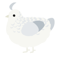 A white and mist chicken with a half-lace pattern