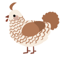 A cream and brown chicken with a lace pattern