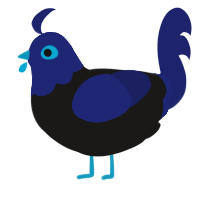 A sable and navy chicken with a head pattern