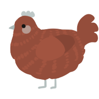 A russet chicken with a bar pattern