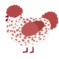 A white and red chicken with a speckle pattern