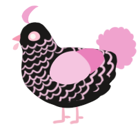 A sable and pink chicken with a lace pattern