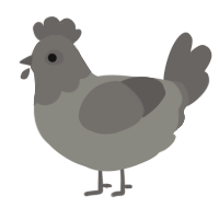 A ash and grey chicken with a head pattern