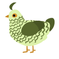 A apple and olive chicken with a lace pattern