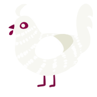 A white chicken with a bar pattern